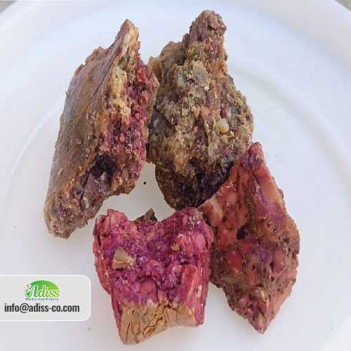 Asafoetida Benefits For Health,Use and more | ADISS TRADING